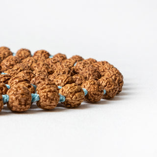 Pisces | Rudraksha Mala