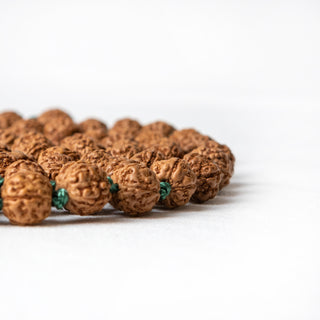 Capricorn | Rudraksha Mala
