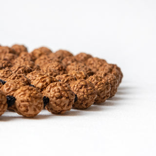 Virgo | Rudraksha Mala